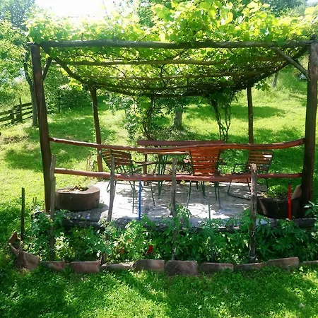 Konukevi Little Heaven